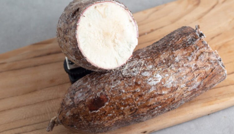 Yuca a versatile root vegetable that lends itself to both sweet and savory recipes as you will discover on the blog. | tchakayiti.com