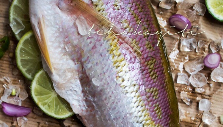 Poisson Gros Sel, a red snapper cooked in a court-bouillon with coarse salt, is a typical Haitian dish that is quite easy to make. Grab the recipe now. | tchakayiti.com